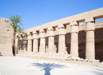 Wall Mural - Columns  in the Temple of Amun-Ra at Karnak