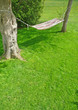 Backyard hammock on a sunny spring day