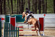 Woman on horse show jumping in special arena