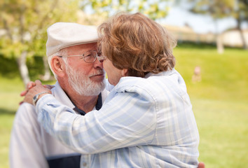 Wall Mural - Happy Senior Couple in The Park