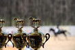 Gold winner cup for equestrian sport
