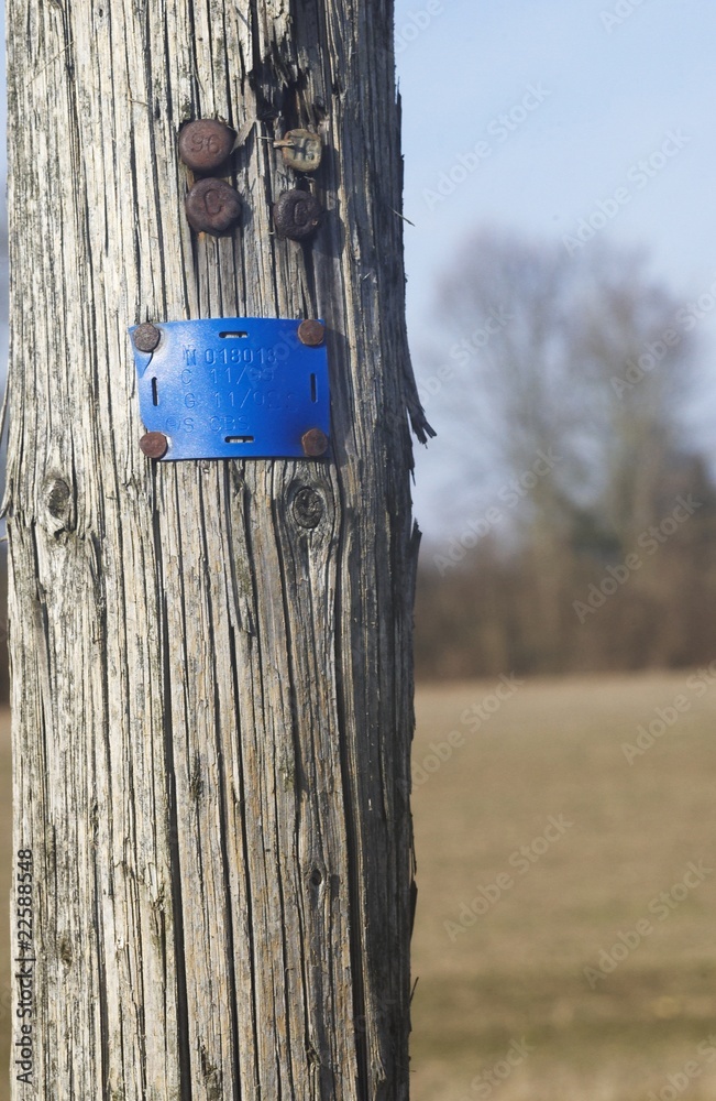 Poteaux Telephonique En Bois
