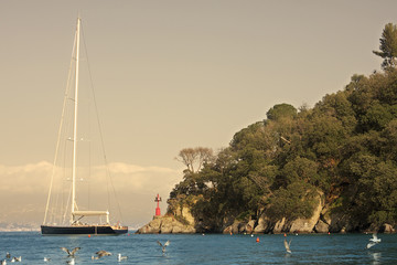 Wall Mural - Big yacht in Portofino lagoon on Ligurian sea in Italy.