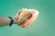Hand holding a live conch