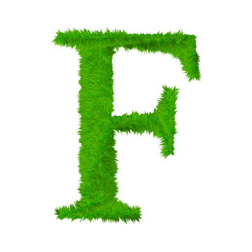 High resolution grass font isolated