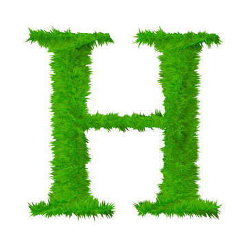 High resolution grass font isolated