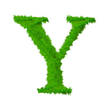 High resolution grass font isolated on white