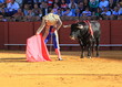 Bull fight at Seville
