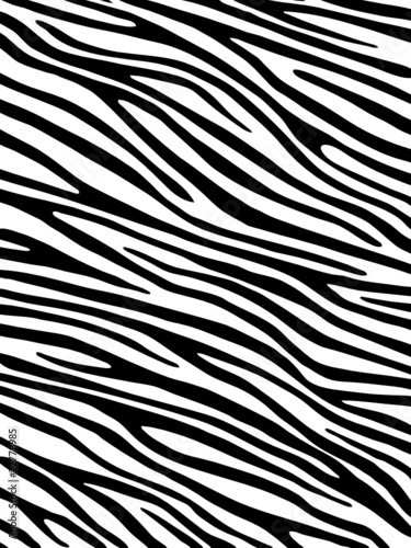 Dekoracja na wymiar  tlo-zebry