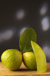 © Comugnero Silvana - Cedro fresco e candito