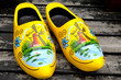 Painted typical Dutch wooden shoes