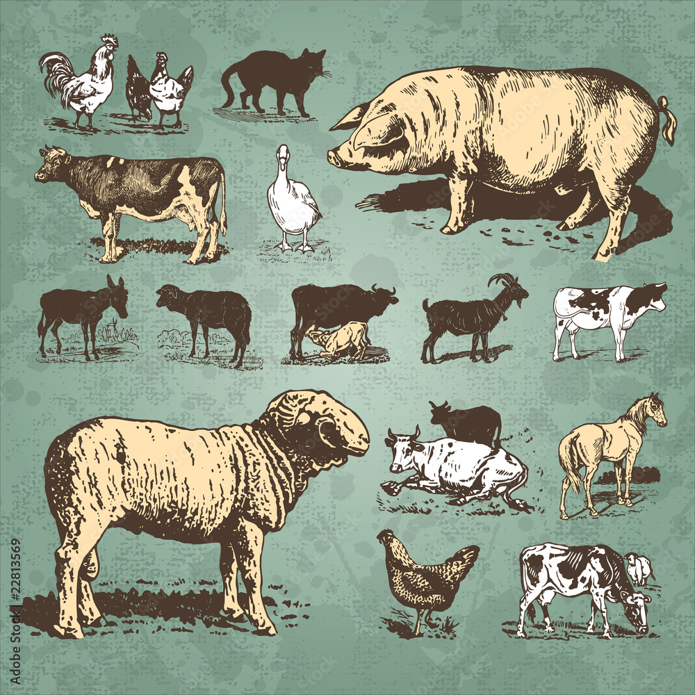 farm animals vintage set (vector) Stock Vector | Adobe Stock