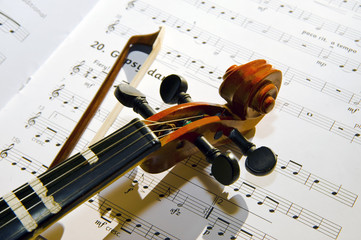 Violin