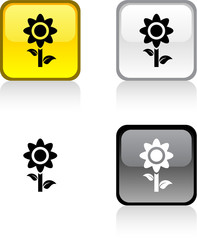 Flower button.