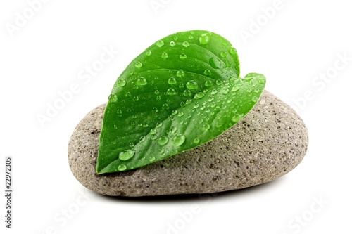 zen stone with leaf