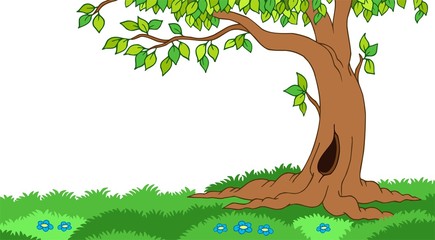 tree in grassy landscape