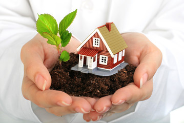 Canvas Print - Small house and plant in hands.