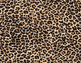 leopard skin as background