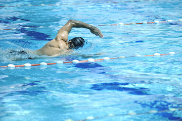 Wall Mural - swim pool