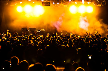 Cheering crowd at concert