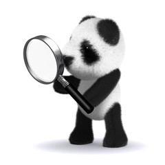 3d Panda uses magnifying glass