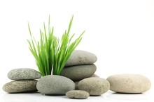 Zen Stone With Fresh Grass