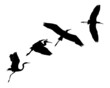 Group of silhouettes of a heron