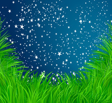Grass And Stars Vector Background