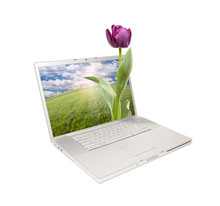Silver Computer Laptop Isolated With Tulip