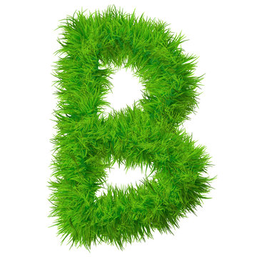 High resolution grass font isolated on white background