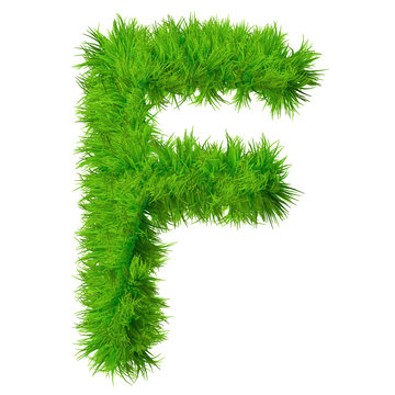 High resolution grass font isolated on white background