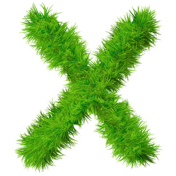 High resolution grass font isolated on white background