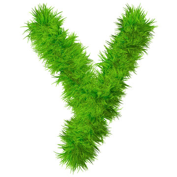 High resolution grass font isolated on white background