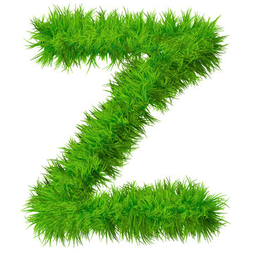 High resolution grass font isolated on white background