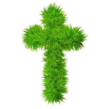 High resolution grass font isolated on white background