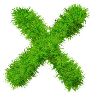 High resolution grass font isolated on white background