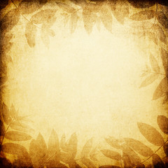 Poster - Grunge aged leaf frame background