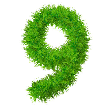 High resolution grass font isolated on white background
