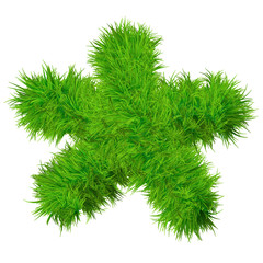 Wall Mural - High resolution conceptual grass symbol isolated