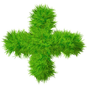 High resolution conceptual grass symbol isolated
