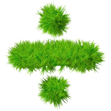 High resolution conceptual grass symbol isolated