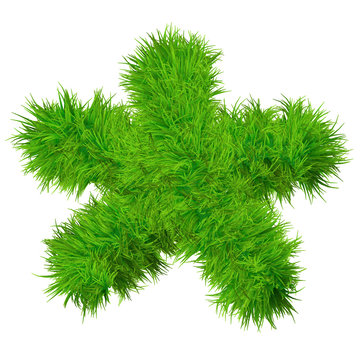High resolution conceptual grass symbol isolated