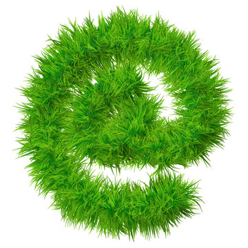 High resolution conceptual grass symbol isolated