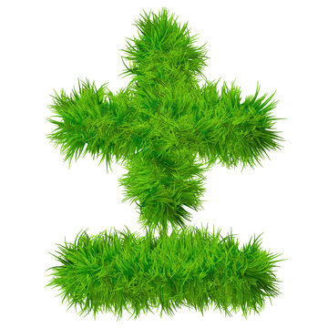 High resolution conceptual grass symbol isolated