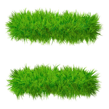 High resolution conceptual grass symbol isolated