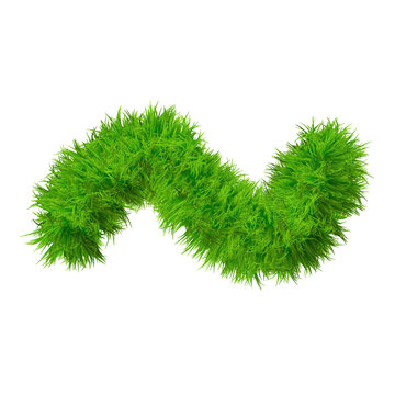 High resolution conceptual grass symbol isolated