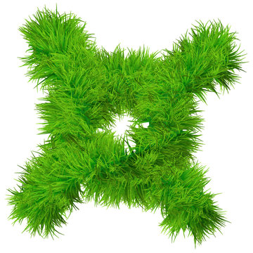 High resolution conceptual grass symbol isolated