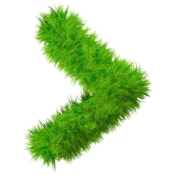 High resolution conceptual grass symbol isolated