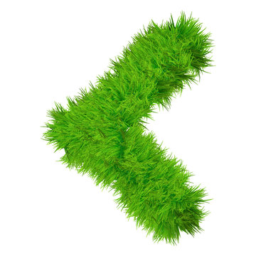 High resolution conceptual grass symbol isolated