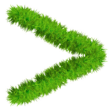 High resolution conceptual grass symbol isolated